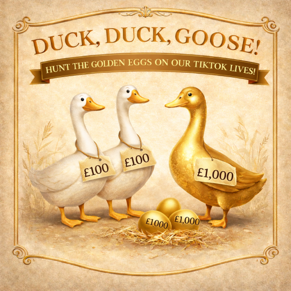 Live Duck Duck Goose